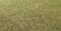 IMG_3037.JPG