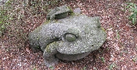 IMG_2960.JPG