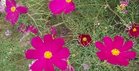 PC130202.JPG