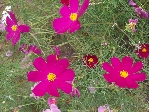 PC130202.JPG