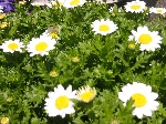 108-0829_IMG.JPG