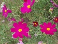 PC130202.JPG