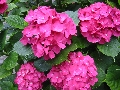 111-1187_IMG.JPG