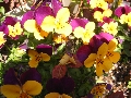 108-0833_IMG.JPG
