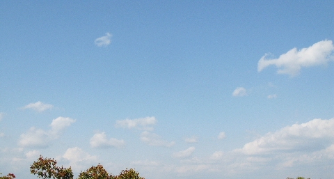 3.JPG