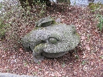IMG_2960.JPG