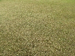 IMG_3037.JPG