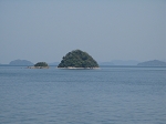 7.JPG