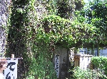 59.jpg
